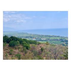 View From Building Site 0 - Bali Villa Projects - Own a Holiday Home in Bali - Palm Living Bali