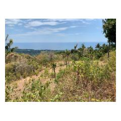 View From Building Site 4 - Bali Villa Projects - Own a Holiday Home in Bali - Palm Living Bali